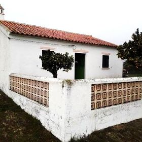 As Glicínias