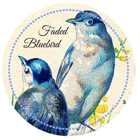Faded BlueBird