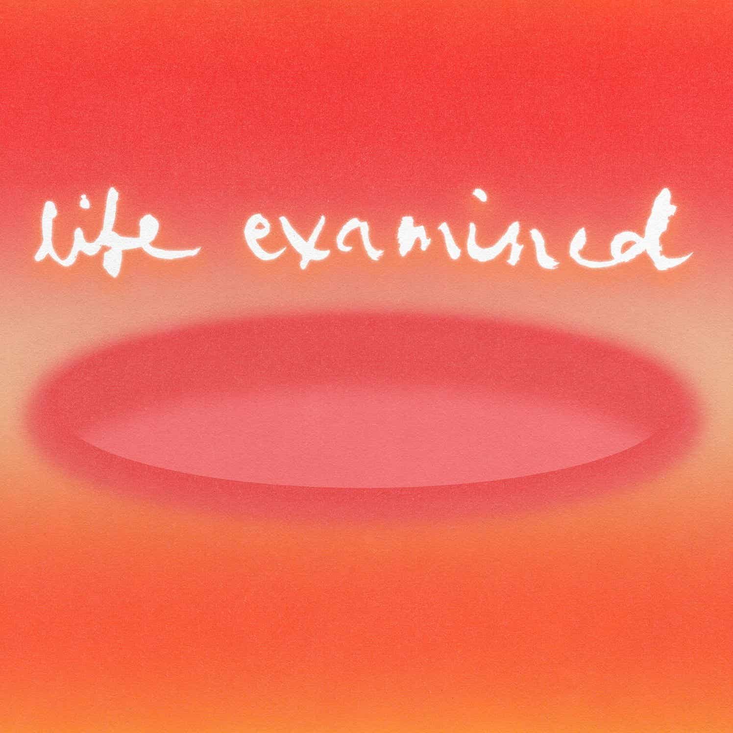 Life Examined