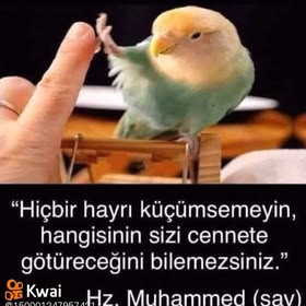 Nesrin