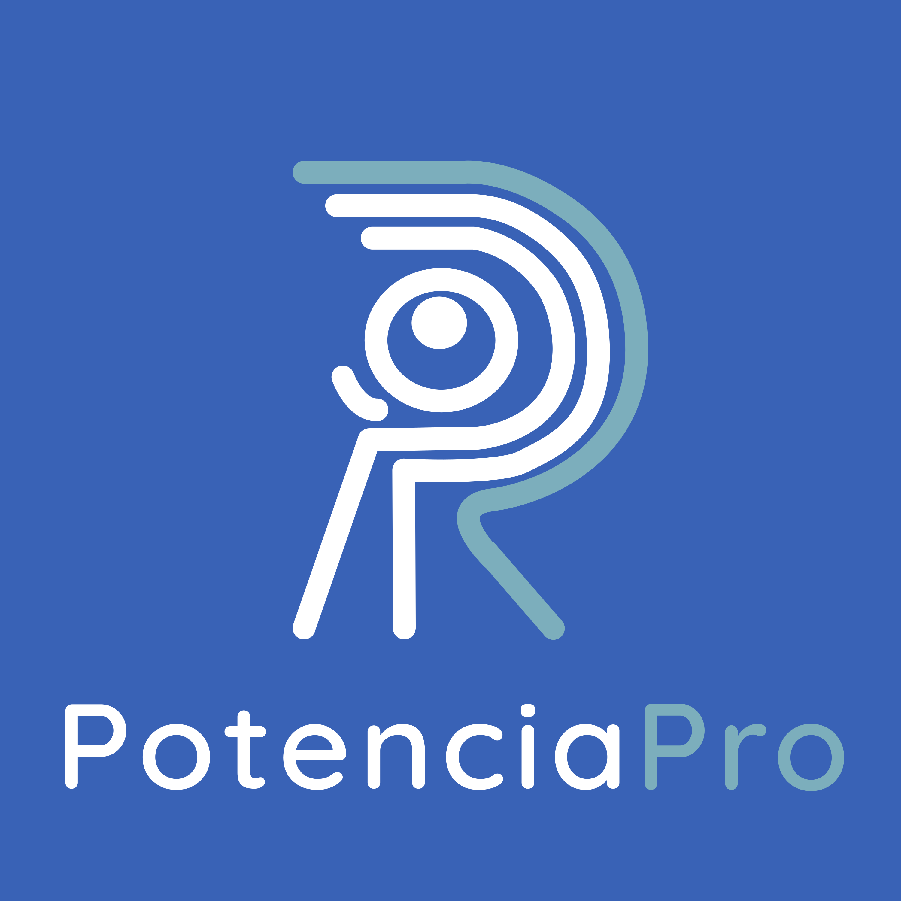Potencia Pro, WordPress y cozas