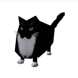 patch