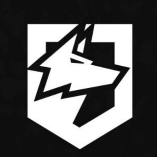Wardogs | Новости