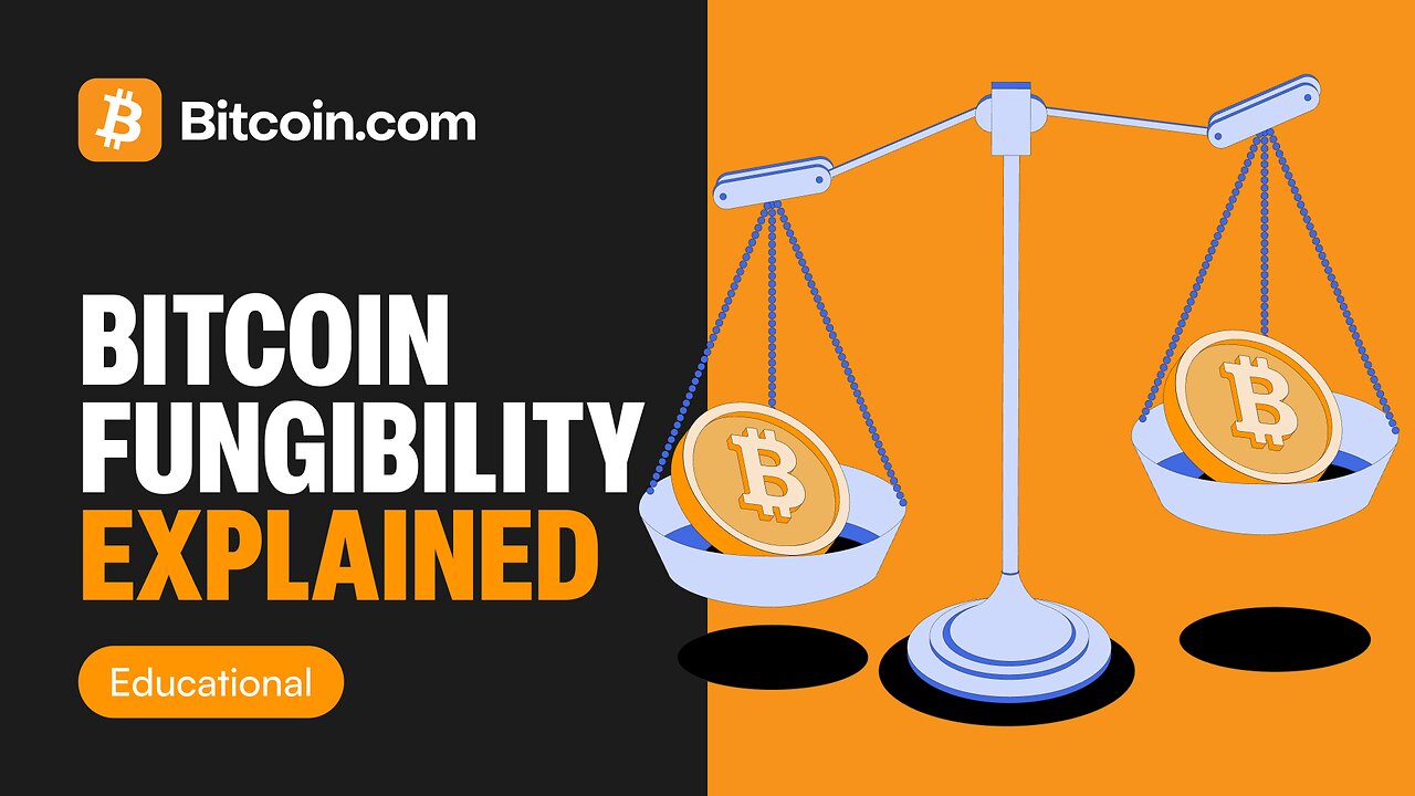 Bitcoin Fungibility Explained: Are All Bitcoins the Same?
