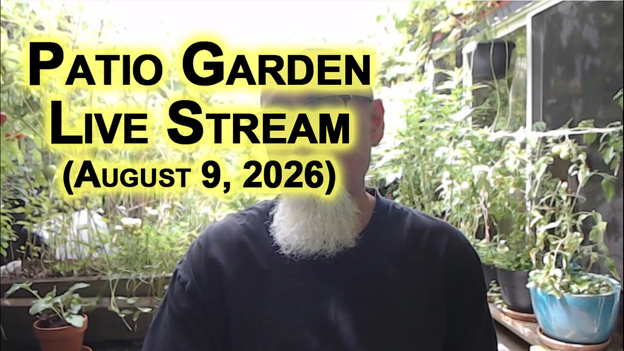Patio Garden Open Discussion -- Sunday, August 9, 2026 [ASMR]