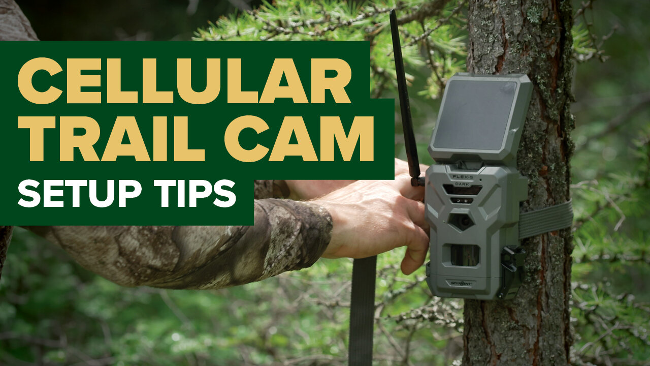 Cellular Trail Camera Tips | Scout More Deer Without Disturbing Them