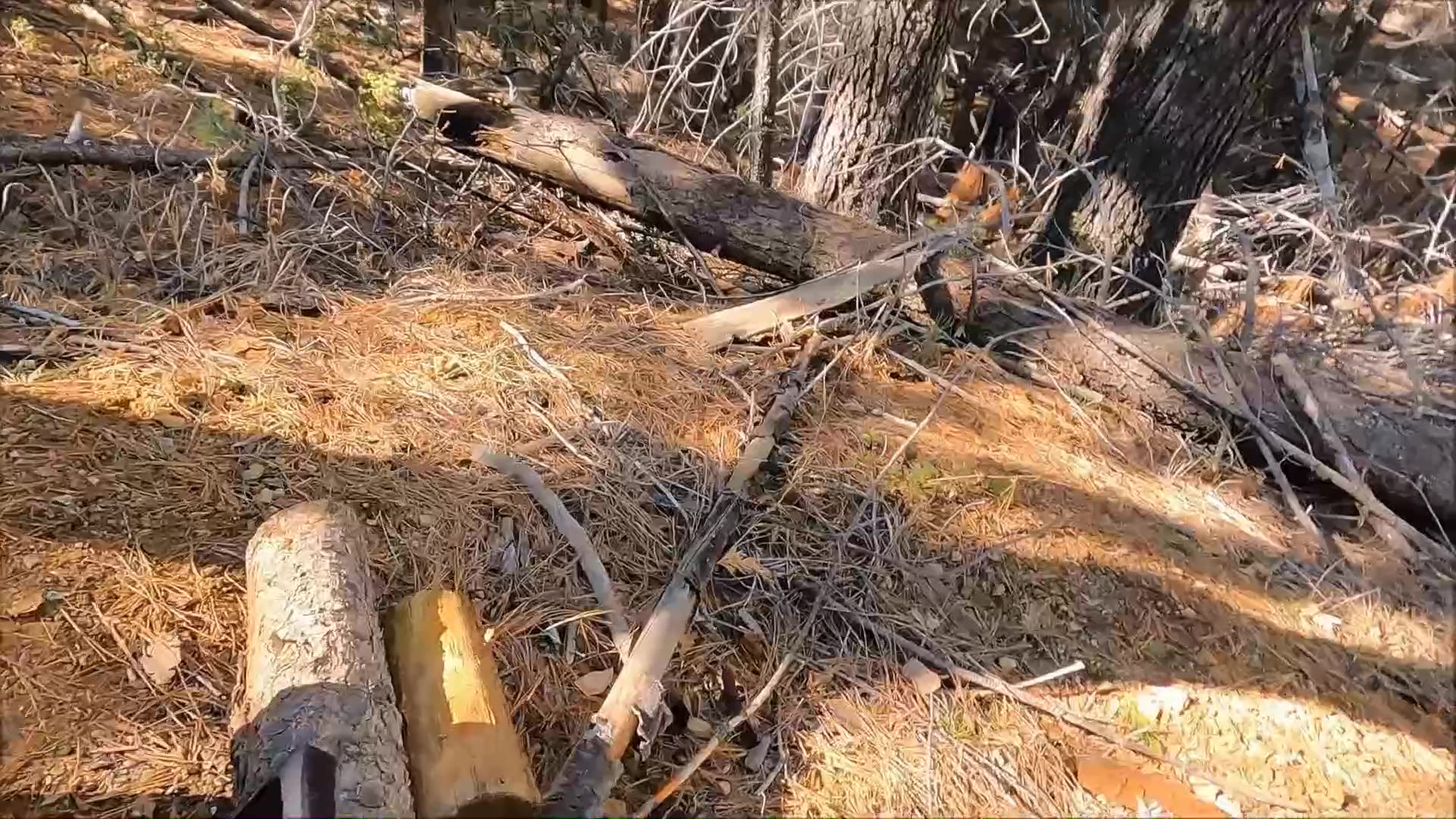 Shooting Level Four Plates