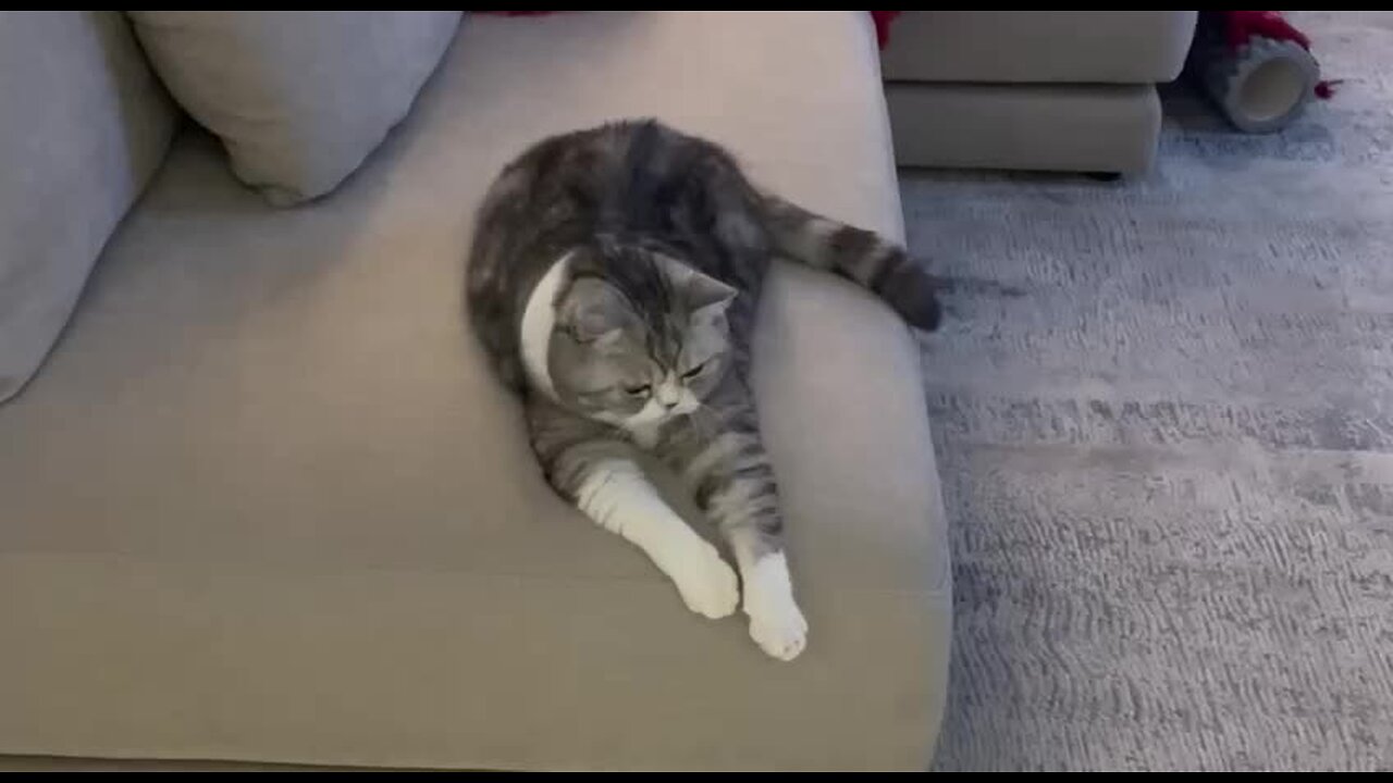 test 1