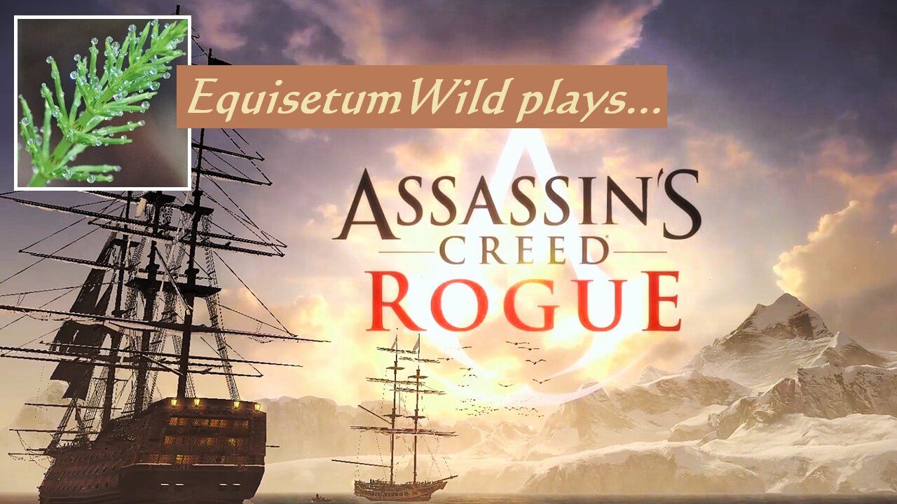 EquisetumWild plays... Assassin