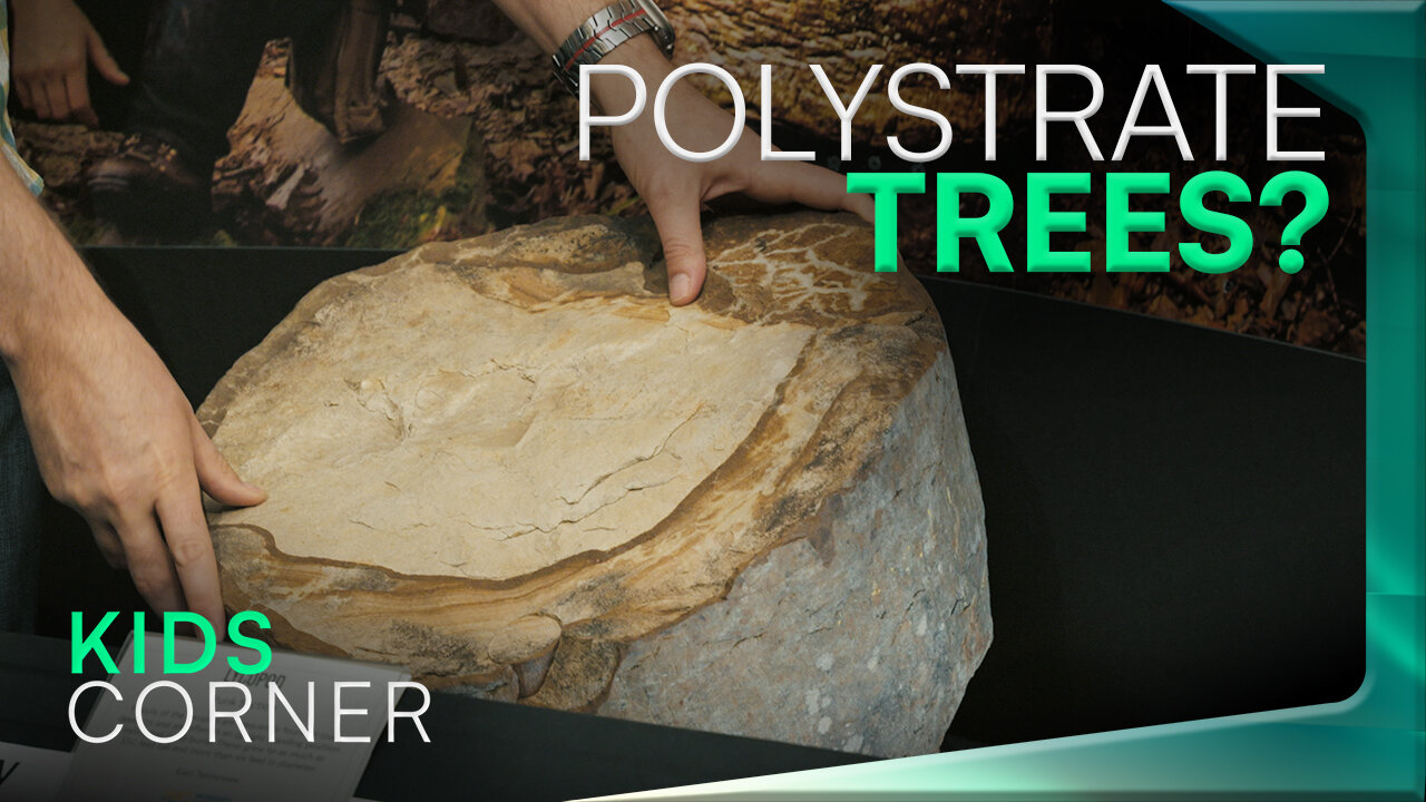 Polystrate Trees | Kids Corner - with David Rives