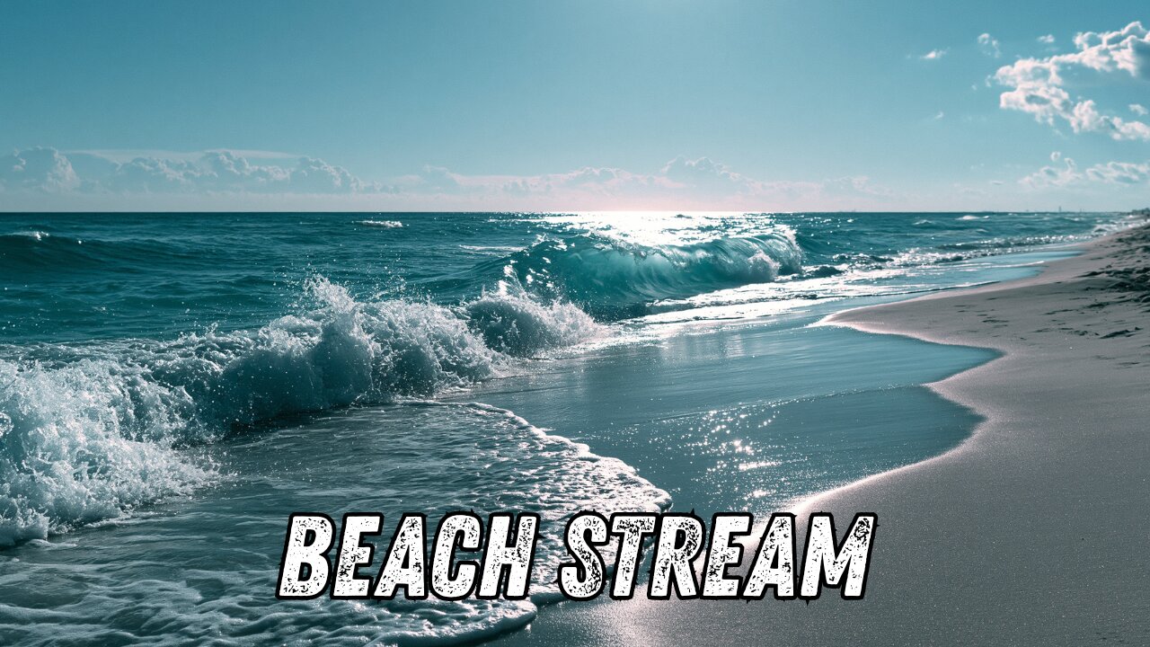 RECON-RAT - Beach Stream! Chat and Relax!