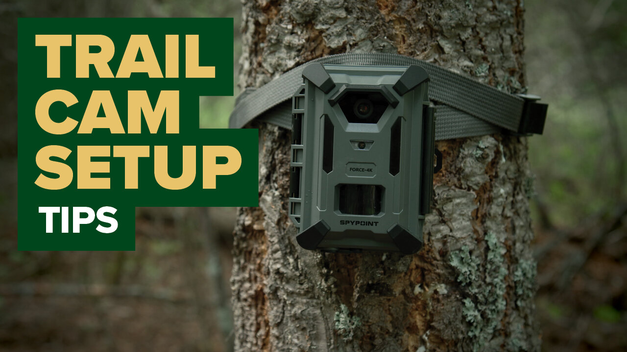 Trail Camera Setup Tips Every Deer Hunter Should Know