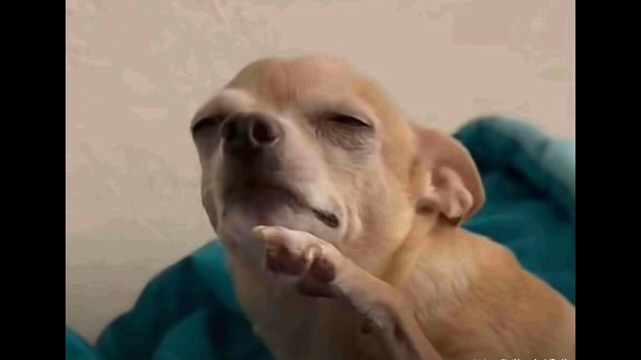 Test Stream