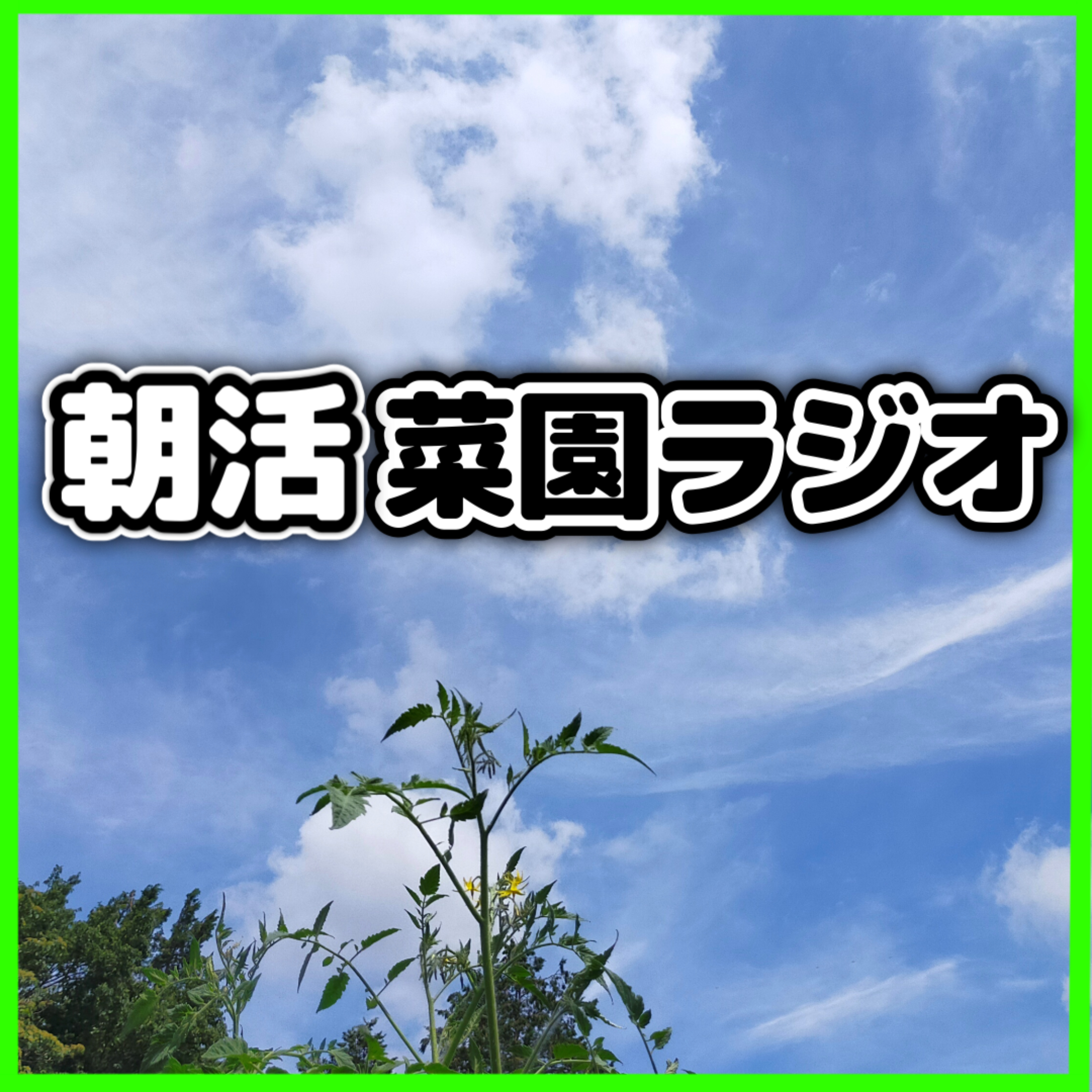＜野菜ソムリエが語るシイタケ＆シメジの栄養学＞自家栽培キットの魅力と秋野菜の種まき計画【朝活菜園ラジオ】