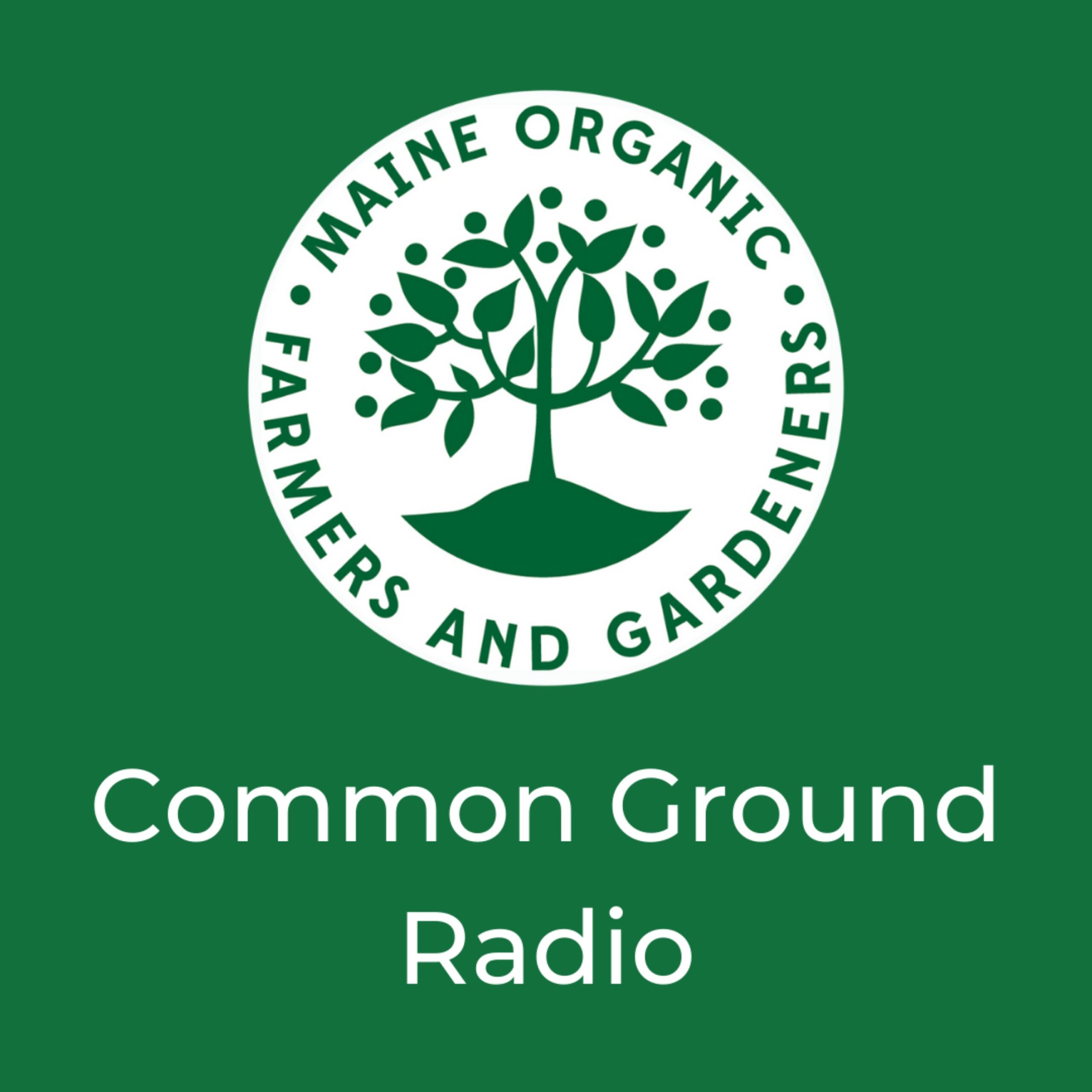 Common Ground Radio