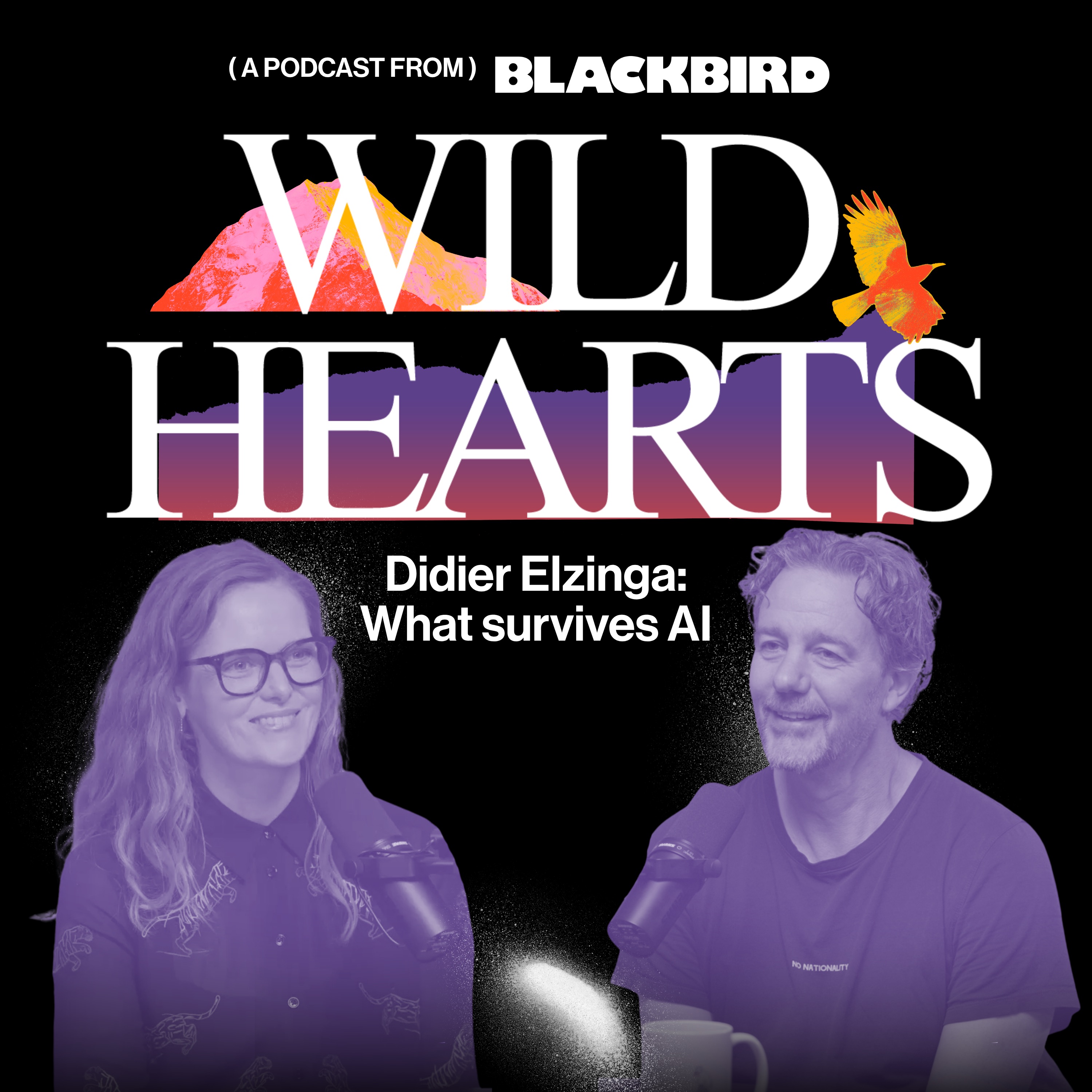Didier Elzinga: What survives AI