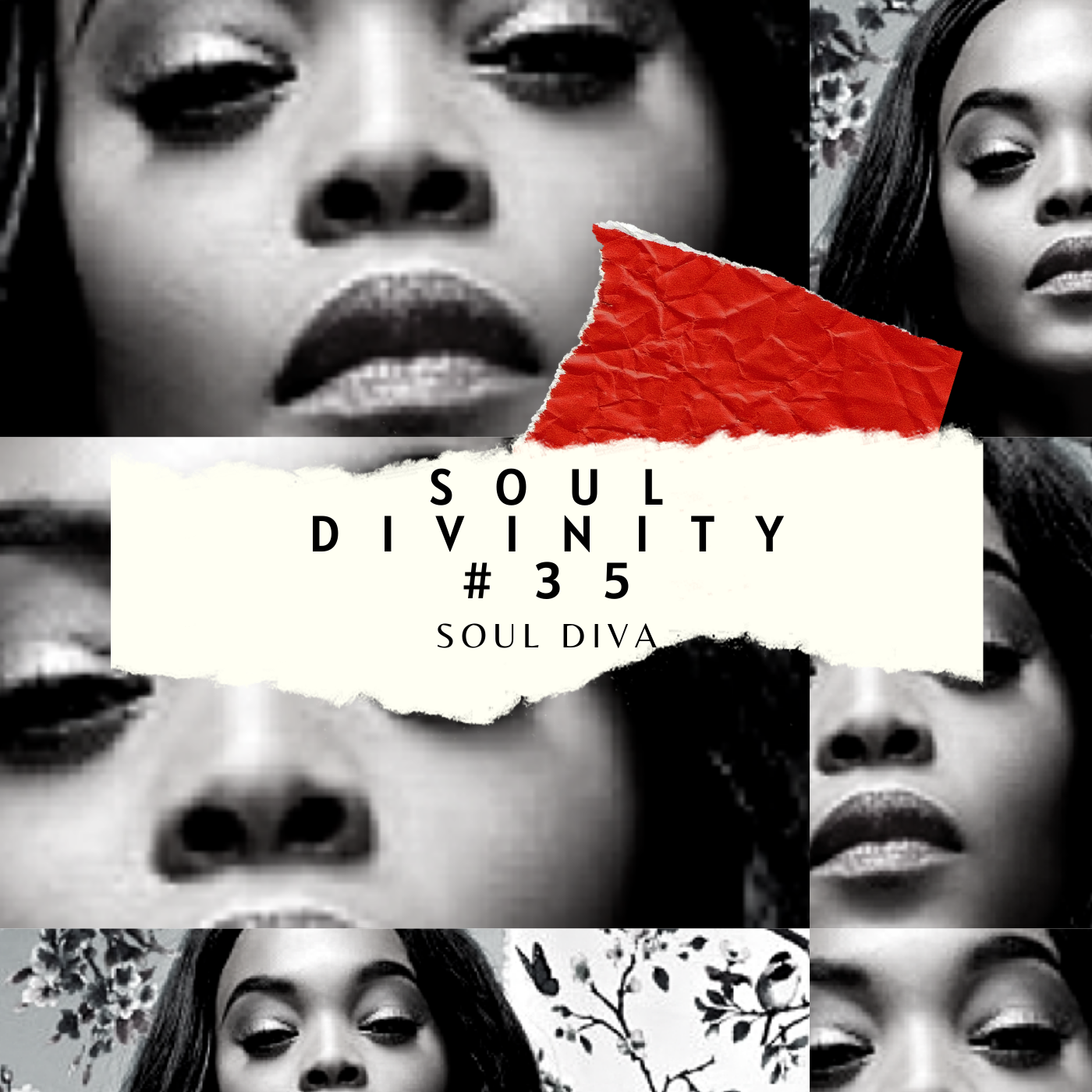 Episode 35: Soul Divinity #35 - Soul Diva