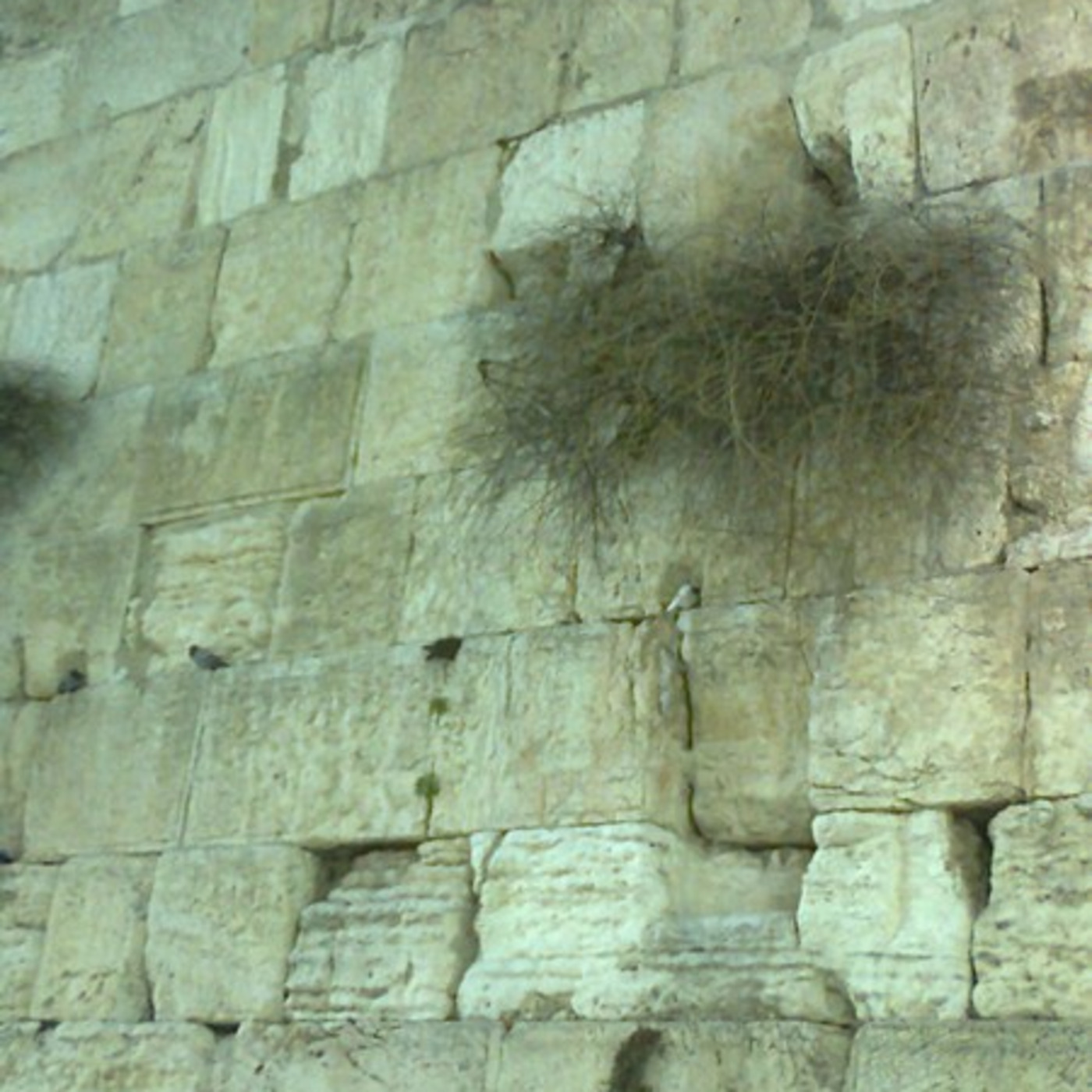 Episode 309: הברכה שבברכה