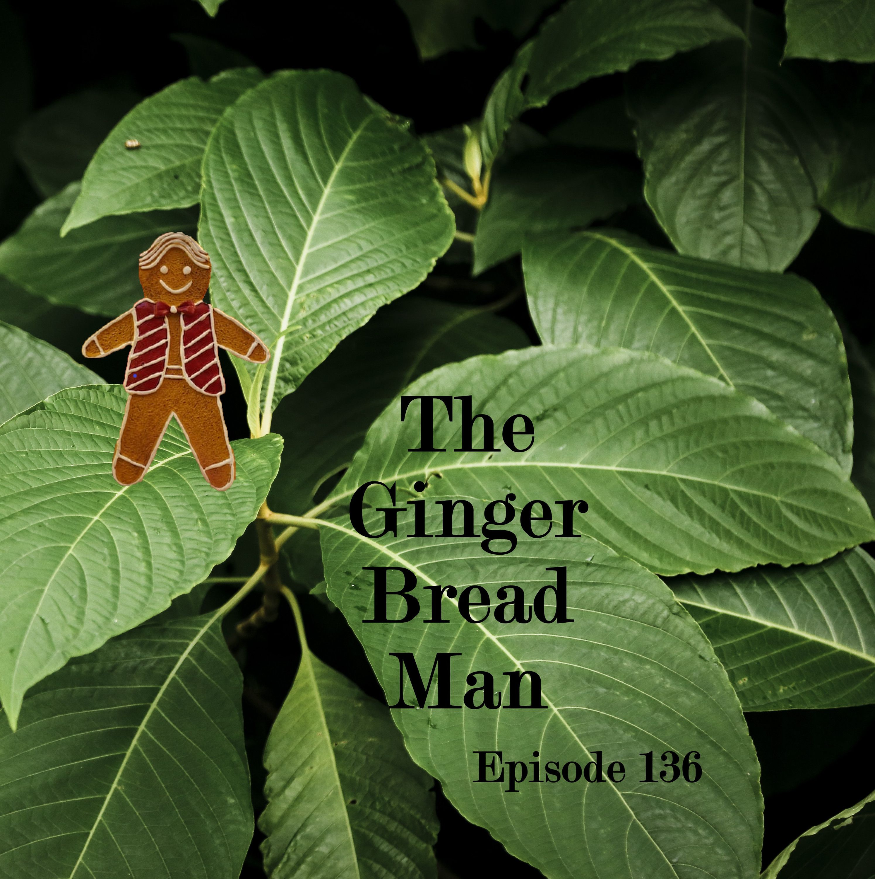136: A New Discussion: The Present Condition of 7oh-Mitragynine in the USA