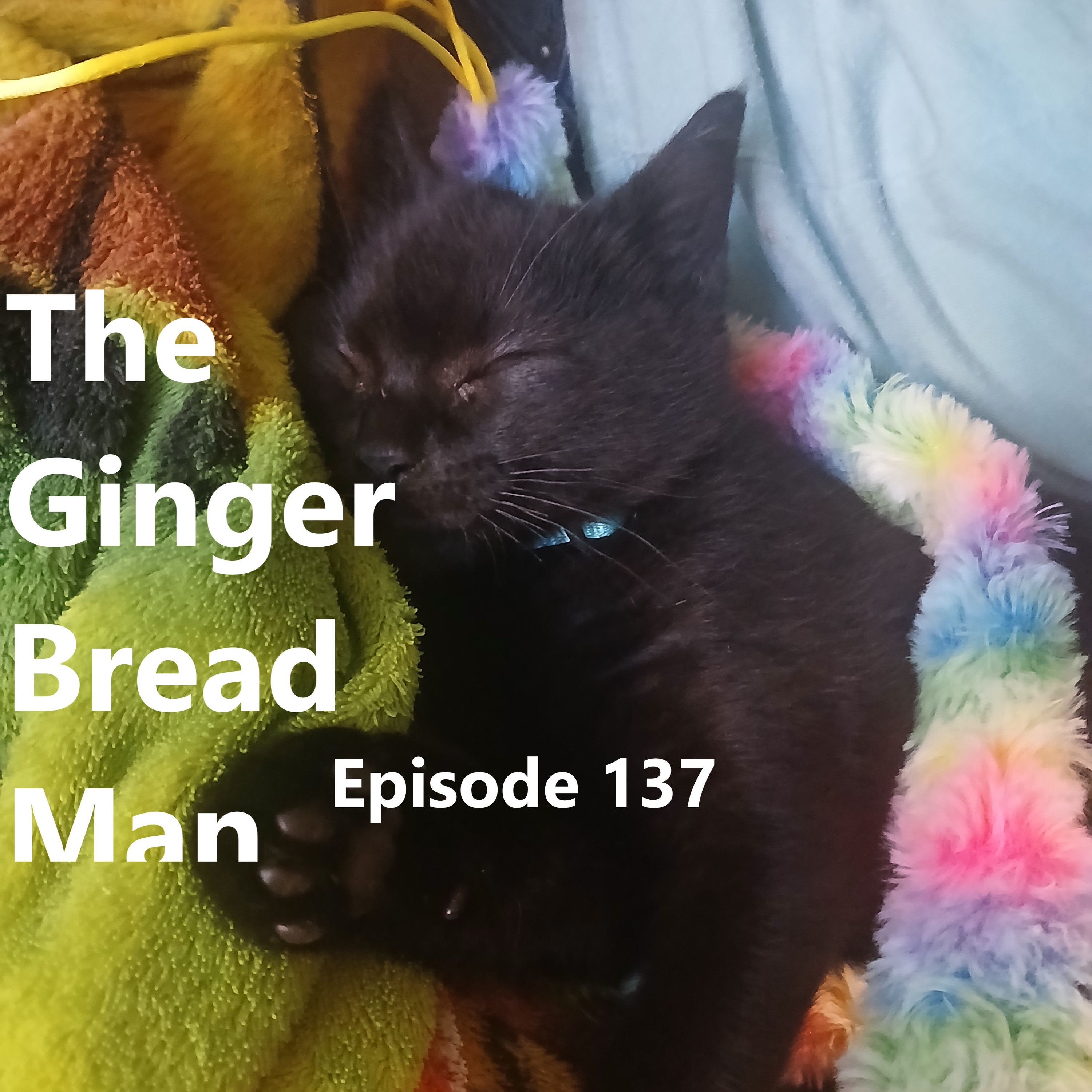 137: The Objectification of Pines