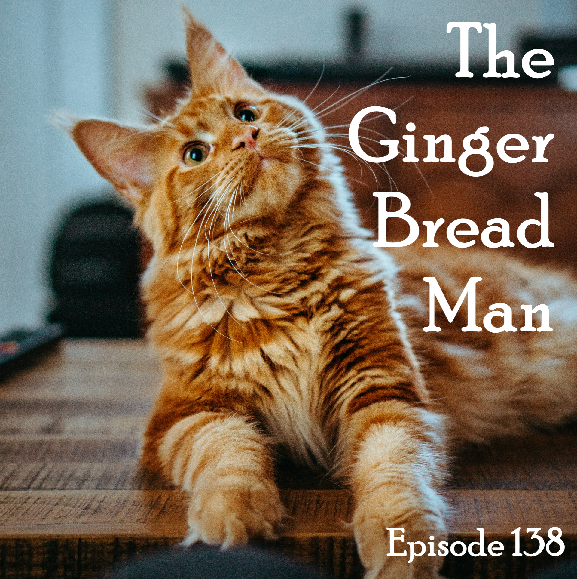 138: The Cat Episode