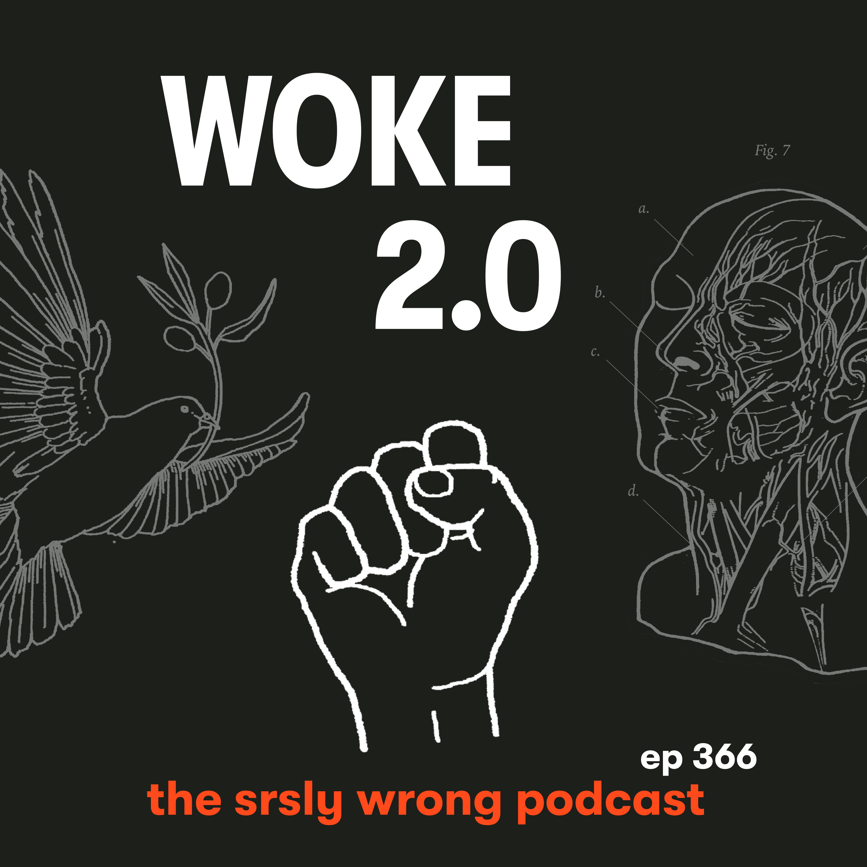 S13 Ep366: WOKE 2.0