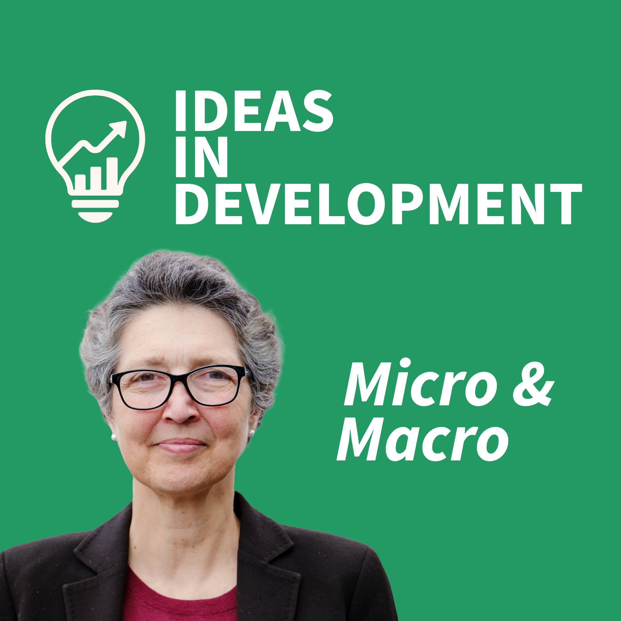 S7 Ep35: Ideas in Development: Has development economics lost its way?
