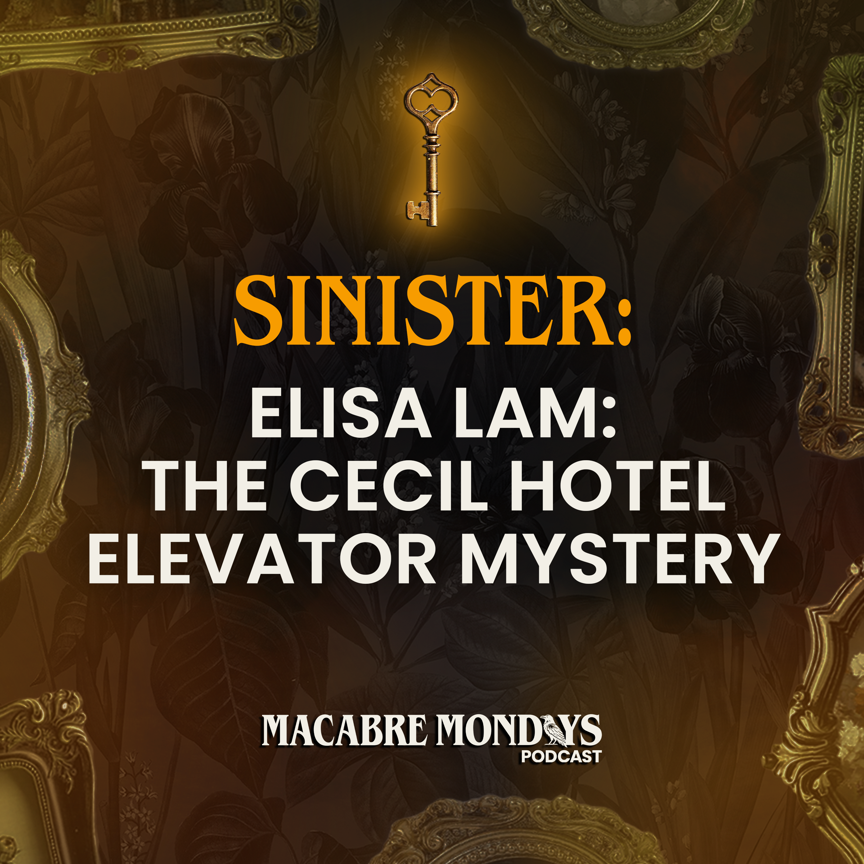 Elisa Lam: The Cecil Hotel Elevator Mystery
