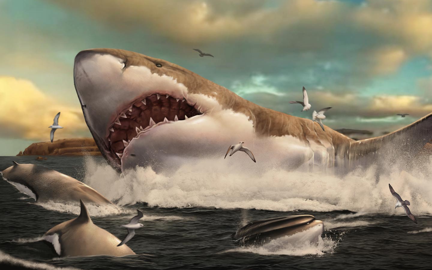 The Mysterious Megalodon
