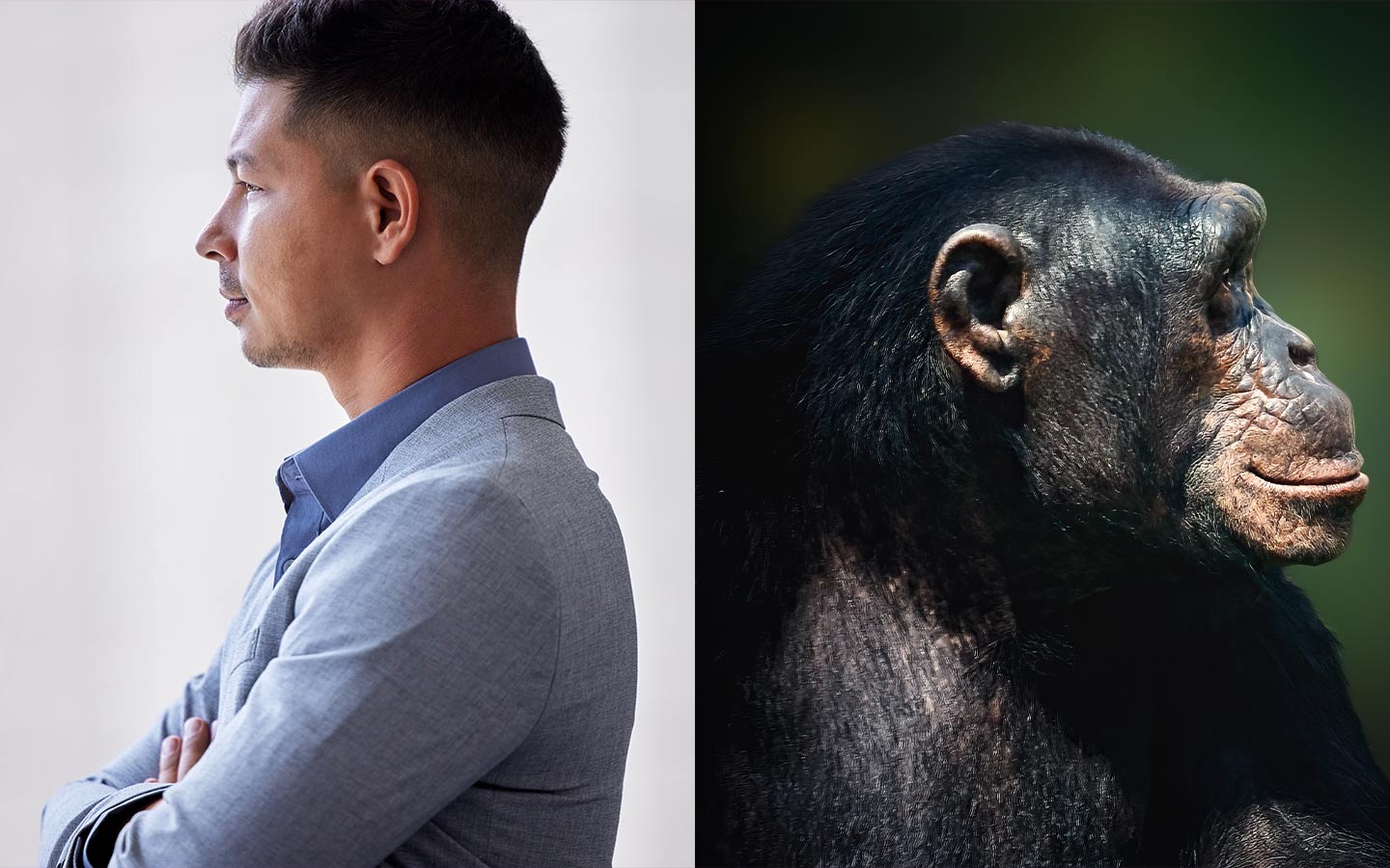 Reassessing Human-Chimpanzee Genetic Similarity