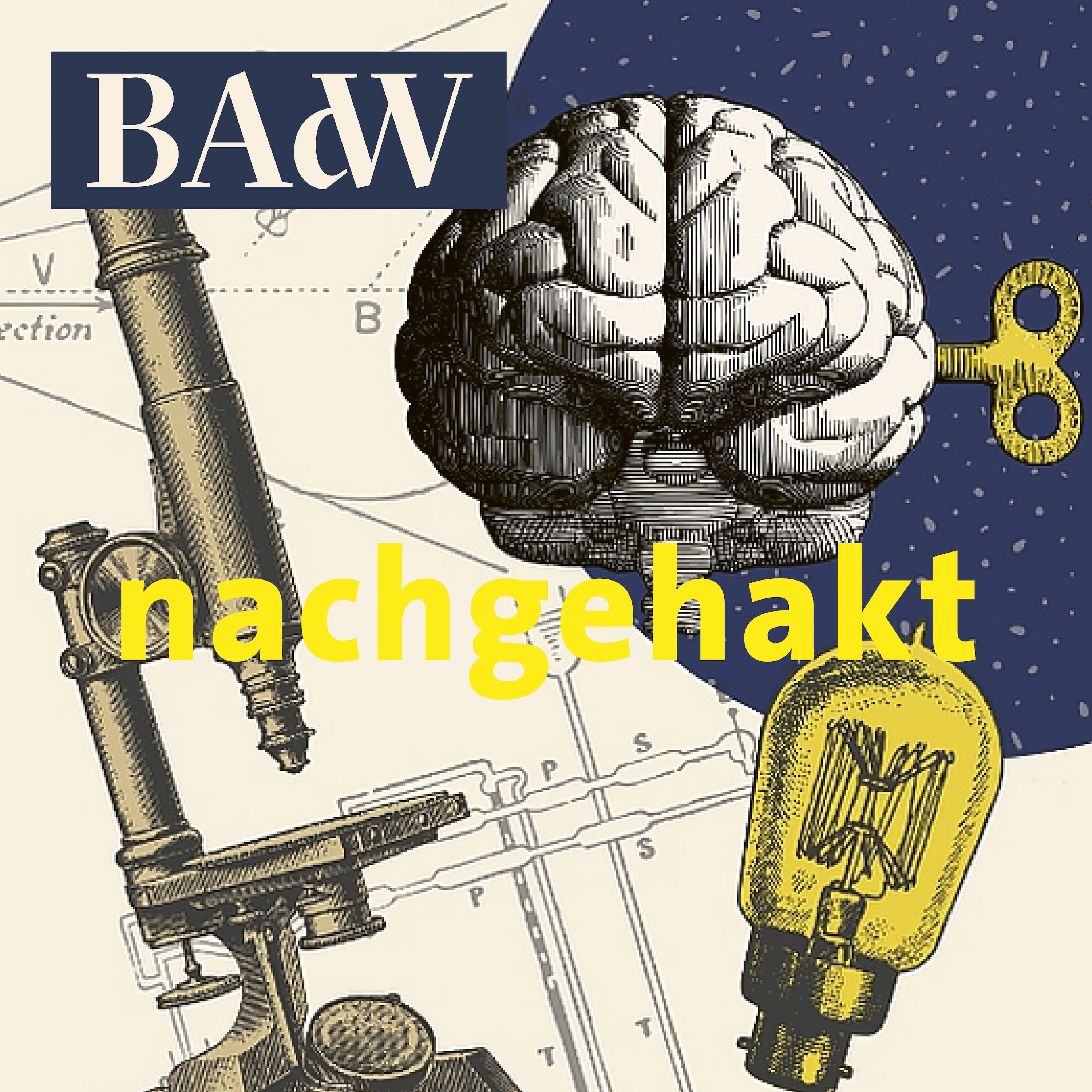 nachgehakt