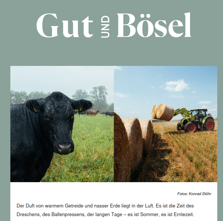 Aus dem Gut Bösel Newsletter:
Wenn wir gefragt werden, warum wir regenerative Landwirtschaft machen, kommen wir – insbesondere in einem Sommer wie diesem – zu dem Schluss: Wir können es uns nicht leisten, es nicht zu tun. Unser bestes Werkzeug gegen Waldbrände sind resiliente Ökosysteme. Das beste Mittel gegen Erosion und Fluten sind gesunde Böden. Wir haben die Schlüssel – und werden uns weiter f