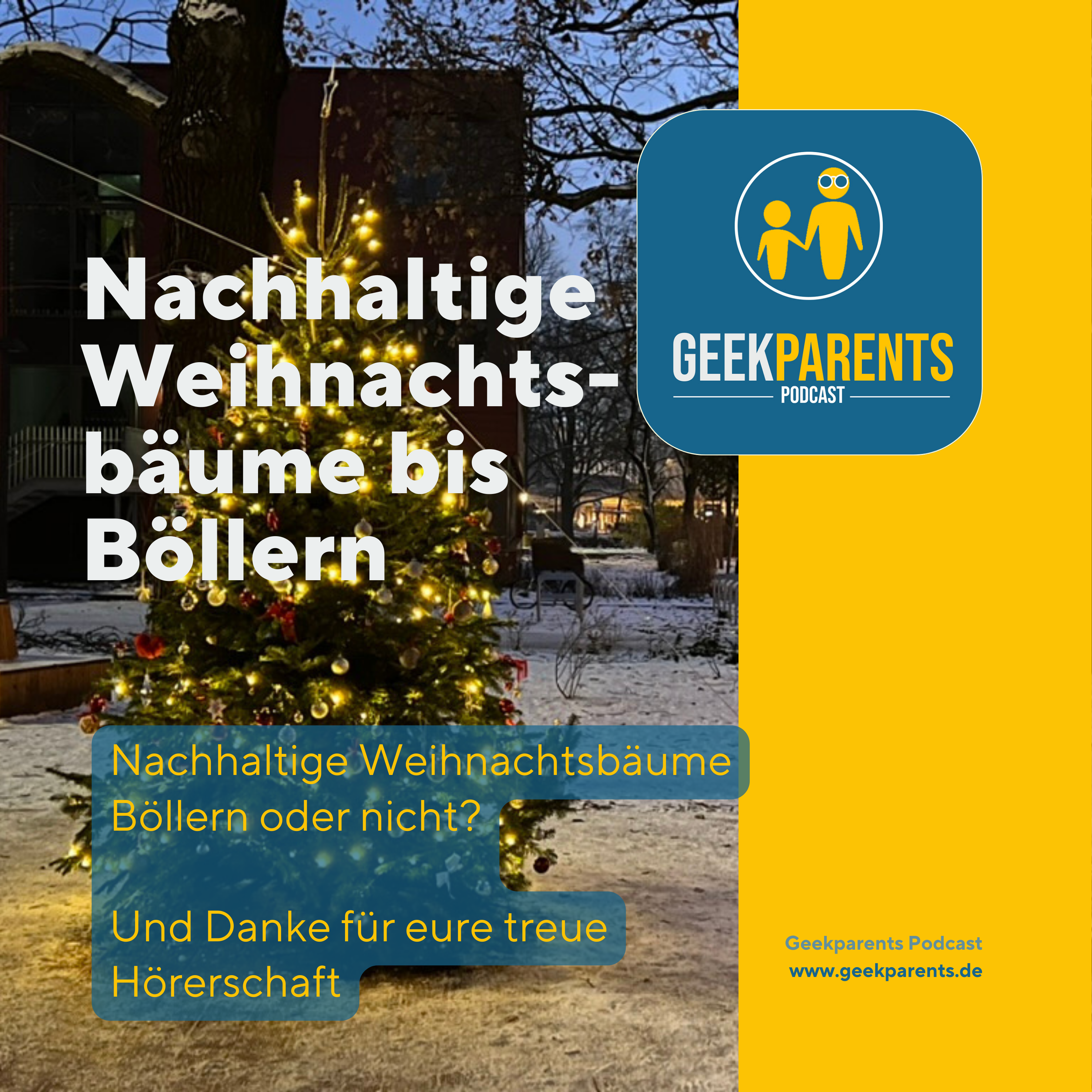 Von nachhaltigen Weihnachtsbäumen bis Böllern, das Jahr geht zu ende.