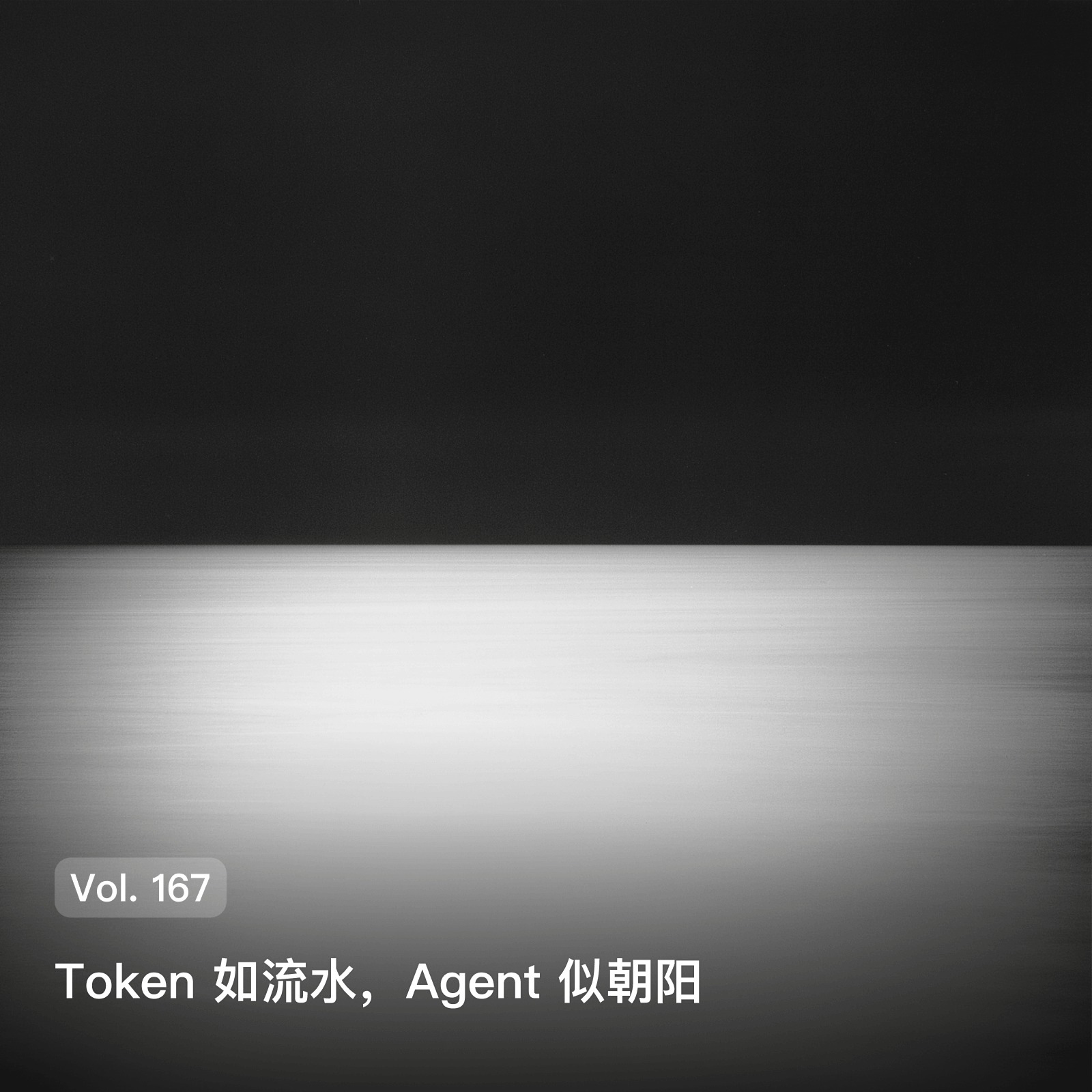 Vol. 167 Token 如流水，Agent 似朝阳