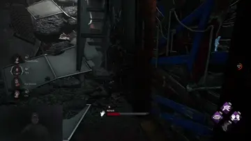 My longest chase yet