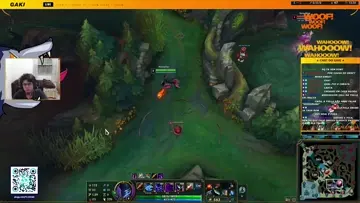 Não entendo o que você está falando