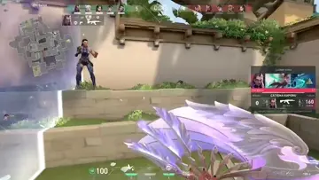 Ace