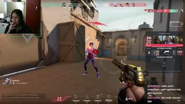 gekko