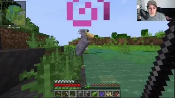 que te pinta loro