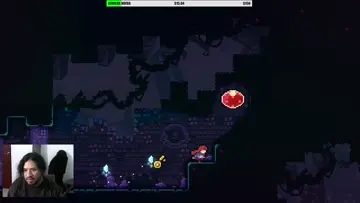 xd