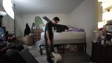 My Doggies