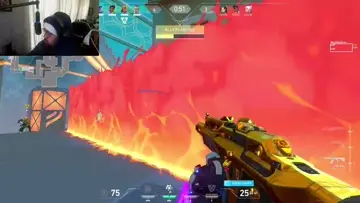 Poor phoenix.....