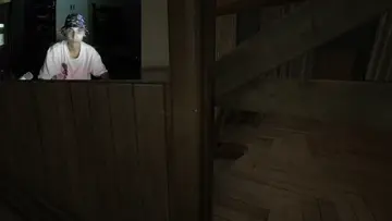 çekirge barış
