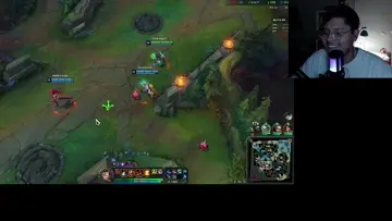 morde