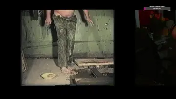 Реакция на слоника