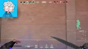 Stinger bela?