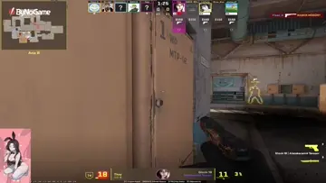 1v5 pistol w/cano