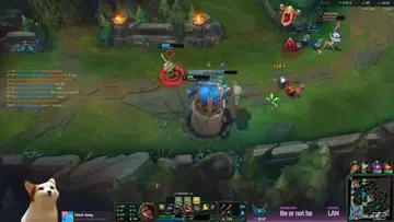 los diveos