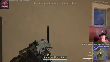 snipe
