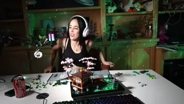 LEGO GIRL